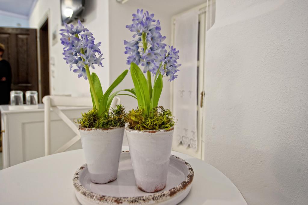 Orologopoulos Mansion Luxury Hotel Kastoria Habitación foto